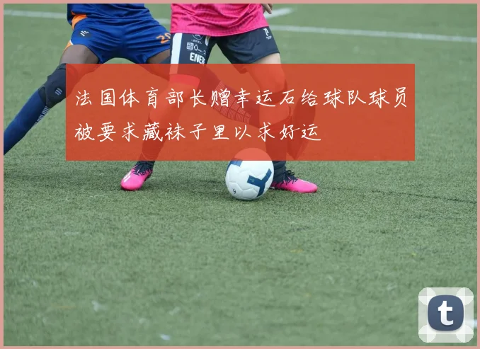 法国体育部长赠幸运石给球队球员被要求藏袜子里以求好运